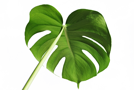 تصميم داخلي دافئ